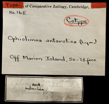 Media type: image;   Invertebrate Zoology OPH-165 Aspect: labels